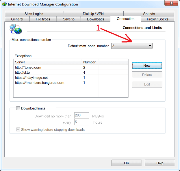 Set lower number of connecitons in IDM settings